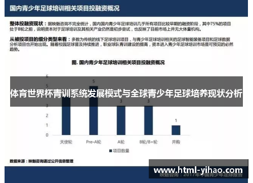 体育世界杯青训系统发展模式与全球青少年足球培养现状分析