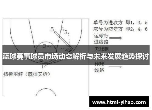 篮球赛事球员市场动态解析与未来发展趋势探讨