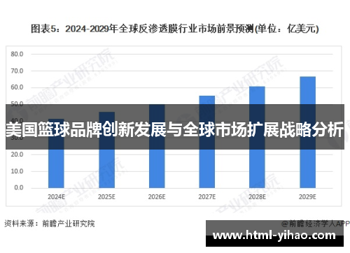 美国篮球品牌创新发展与全球市场扩展战略分析