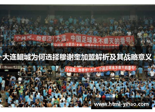 大连鲲城为何选择穆谢奎加盟解析及其战略意义