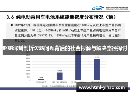 赵鹏深刻剖析欠薪问题背后的社会根源与解决路径探讨
